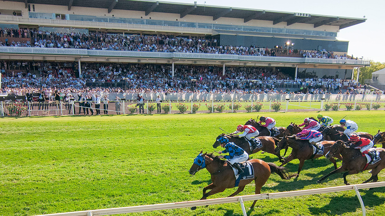 Retravision Commercial - Projects - Ascot Racecourse