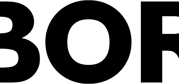 Bora Logo